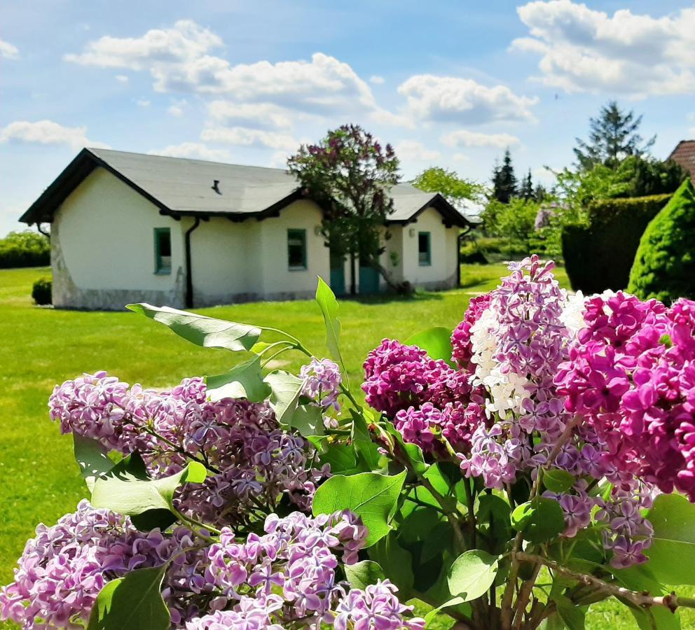 Pension Landhaus Teichgraf Wolgast Exterior photo